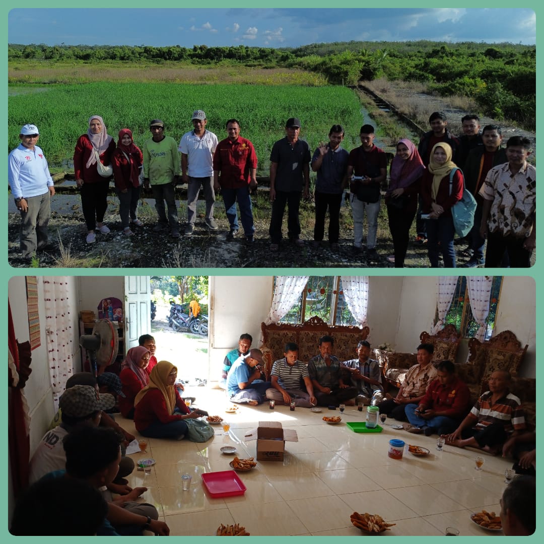 MONITORING KABID TANAMAN PANGAN DAN HORTIKULTURA KE POKTAN KHUSPA UNTUK MEMAKSIMALKAN PERSAWAHAN DESA TANJUNG MEDANG 