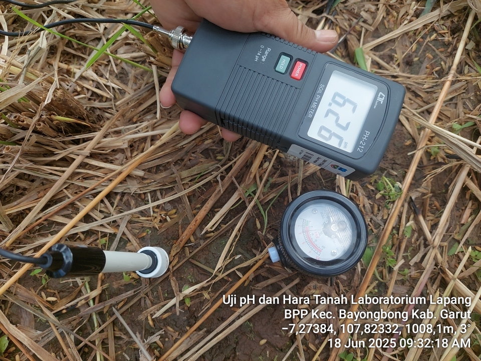 UJI UNSUR HARA DAN pH TANAH SAWAH LABORATORIUM LAPANG BPP KECAMATAN BAYONGBONG