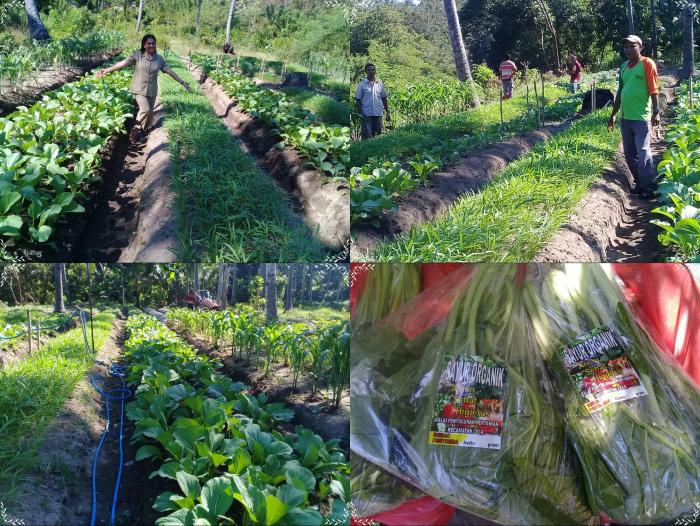 TAK HANYA PETANIÃ¢â‚¬Â¦.. PENYULUH PERTANIAN  PUN BUTUH DEMPLOTÃ¢â‚¬Â¦